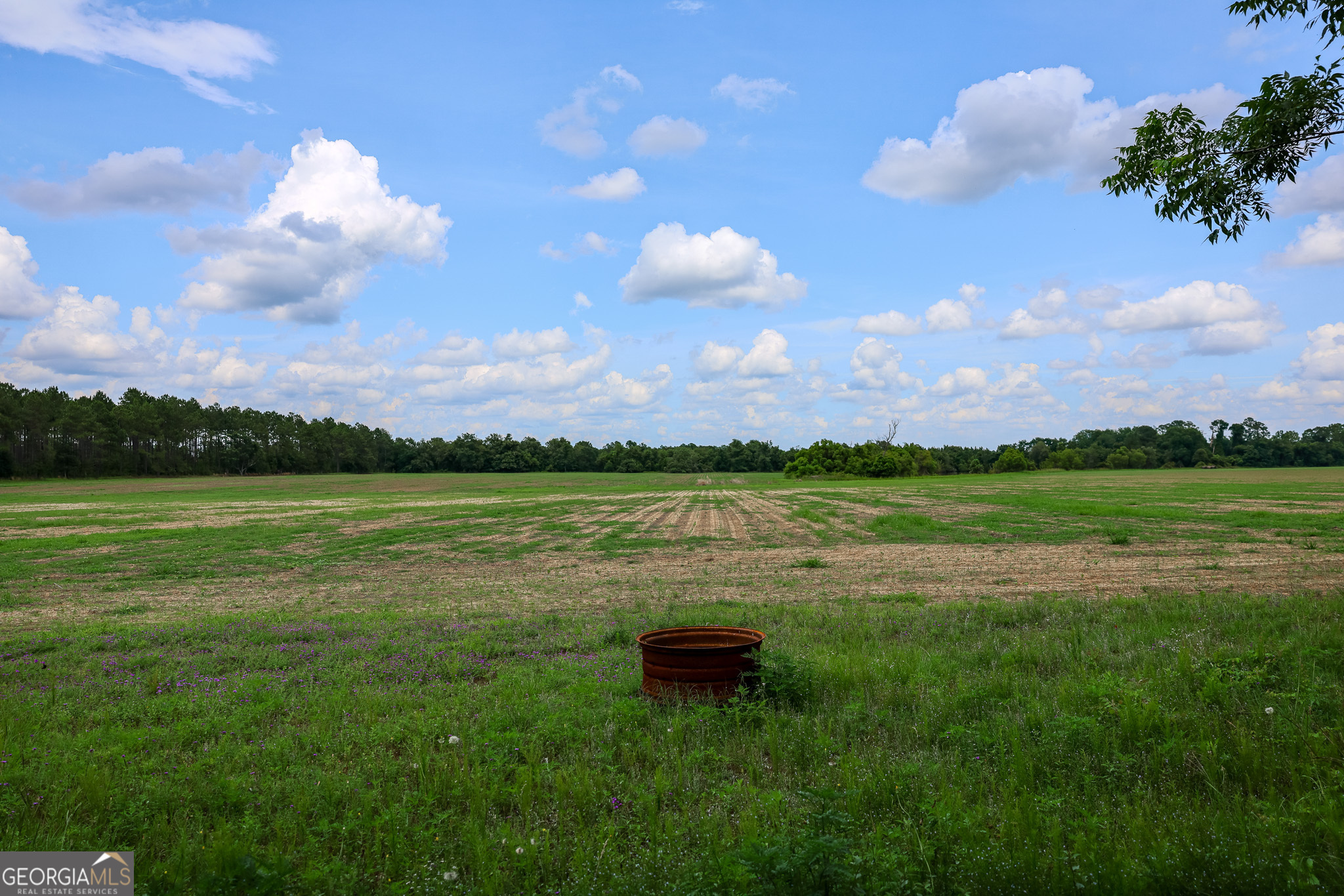 0 Mccrimmon Road Fitzgerald, GA 31750 - Photo 9 of 17