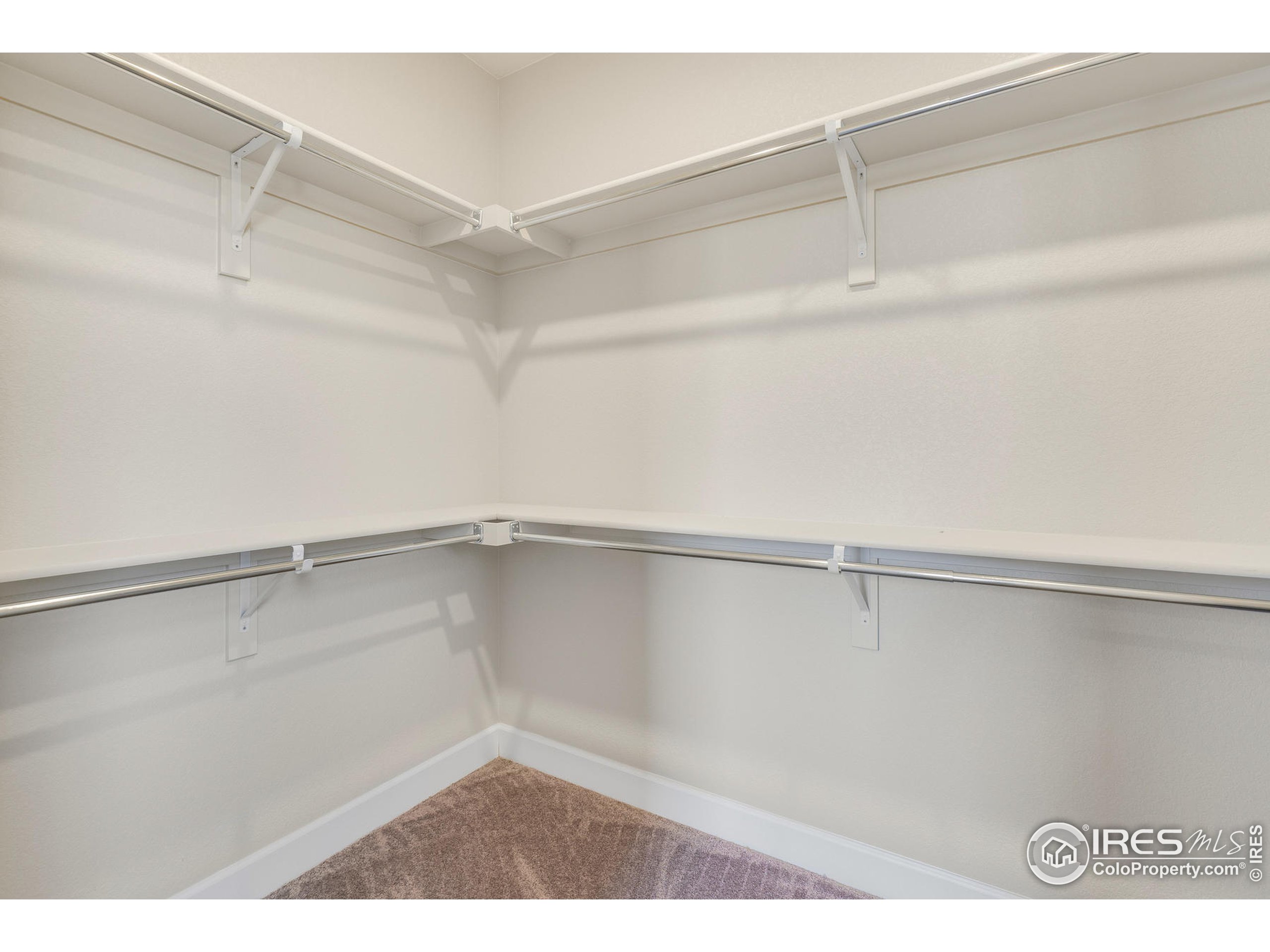 6093 Greybull Road Timnath, CO 80547 - Photo 21 of 36