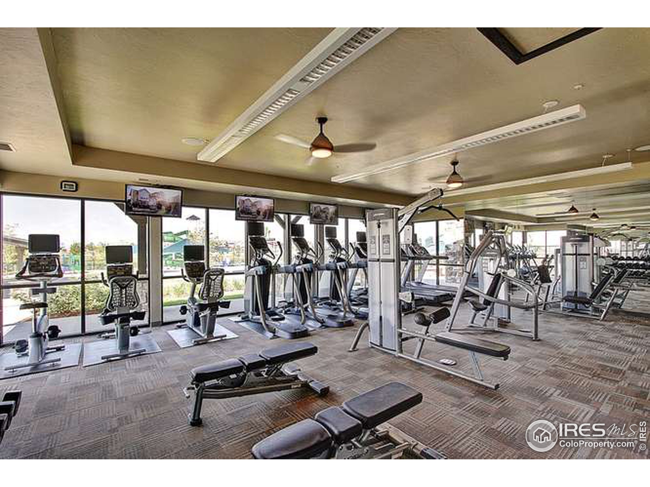 6093 Greybull Road Timnath, CO 80547 - Photo 30 of 36