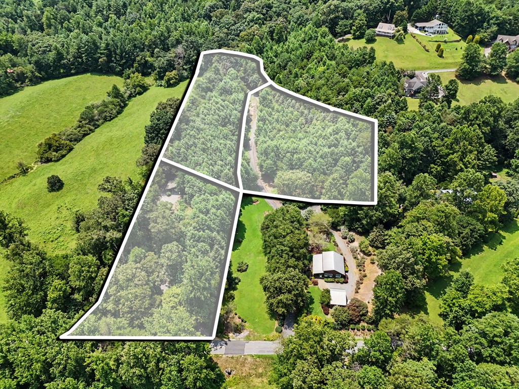 282 Low Gap Road Hayesville, NC 28904 - Photo 3 of 31