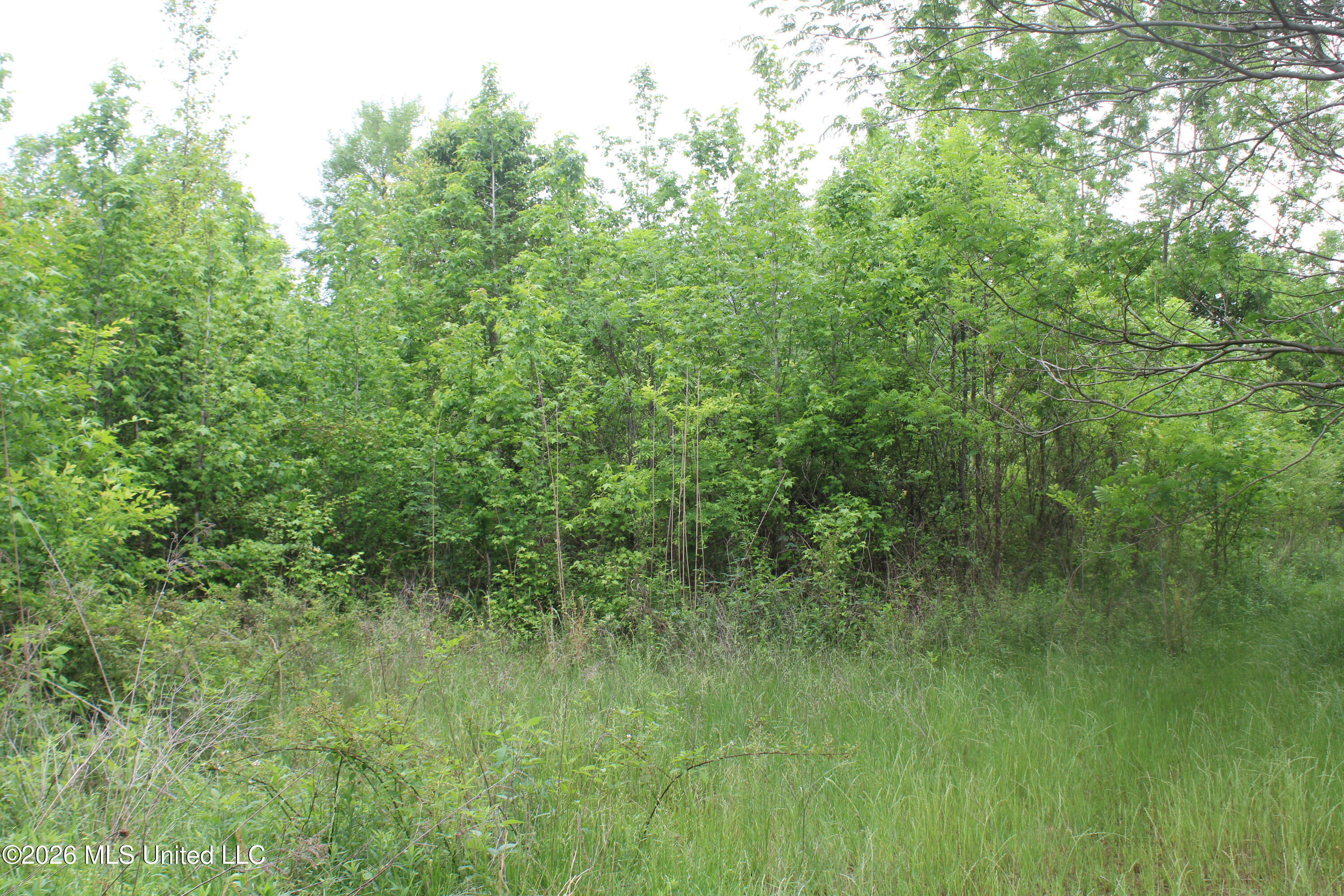 806 Woods Road Byhalia, MS 38611 - Photo 12 of 20 IMG_7744