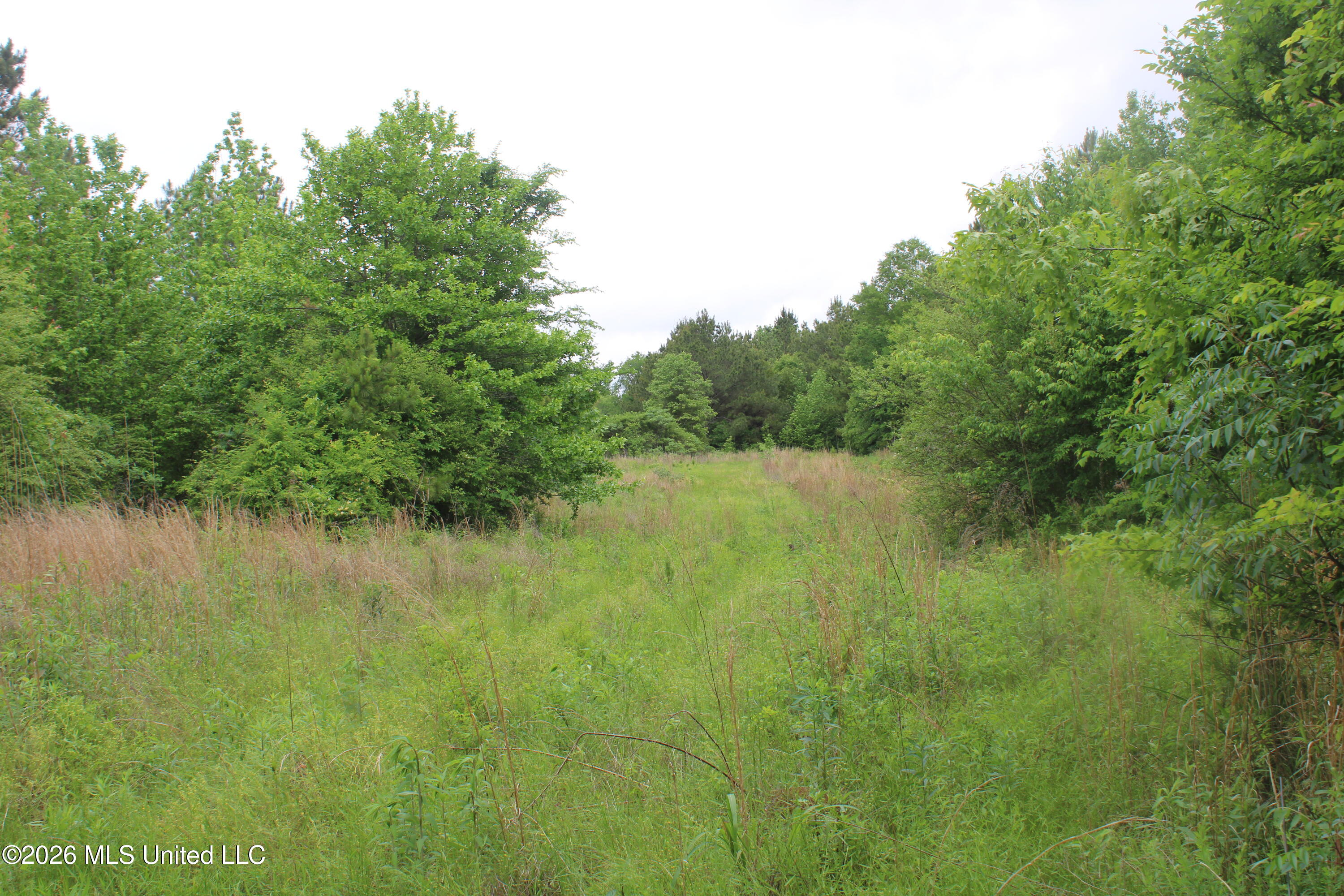 806 Woods Road Byhalia, MS 38611 - Photo 15 of 20 IMG_7747