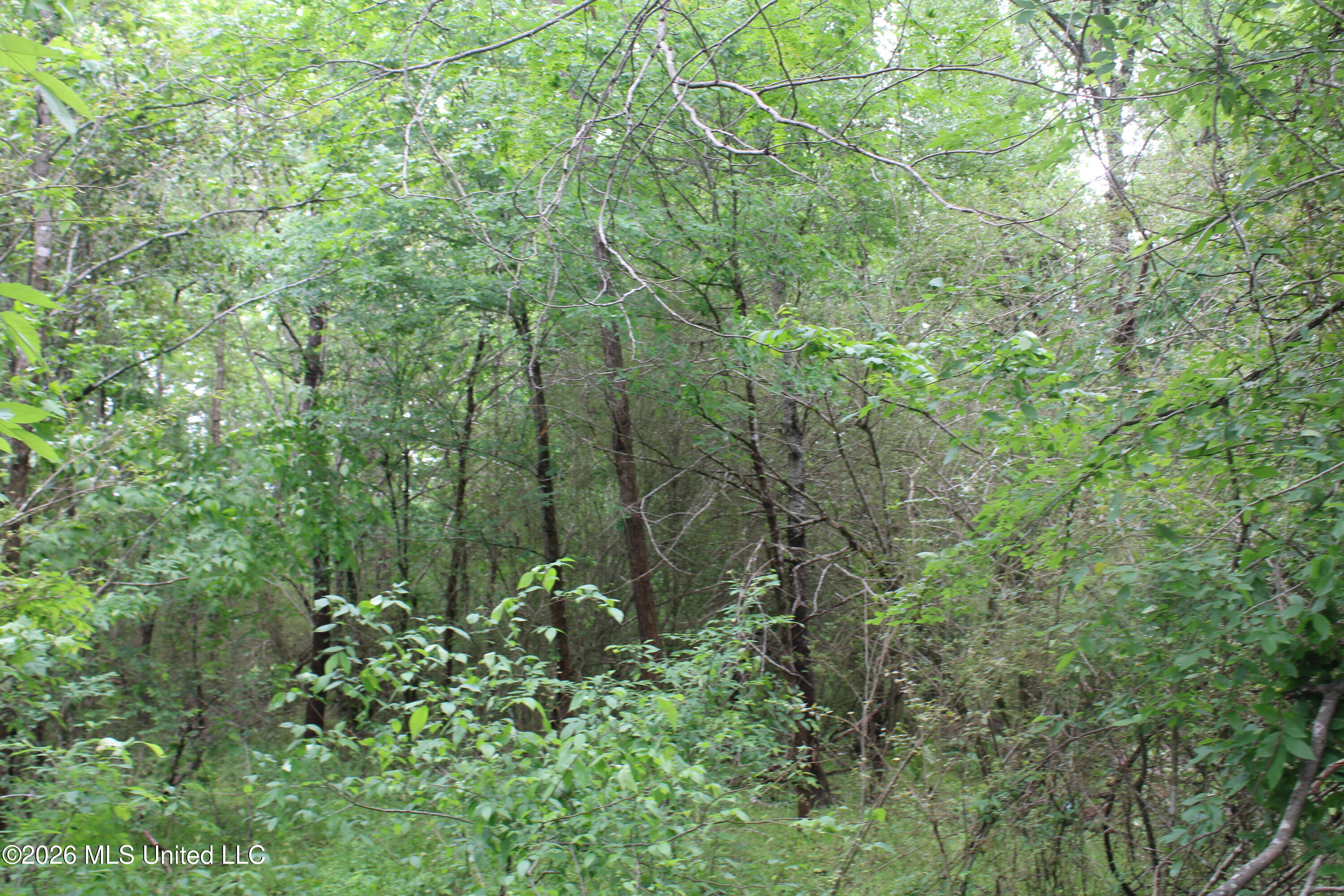 806 Woods Road Byhalia, MS 38611 - Photo 17 of 20 IMG_7752