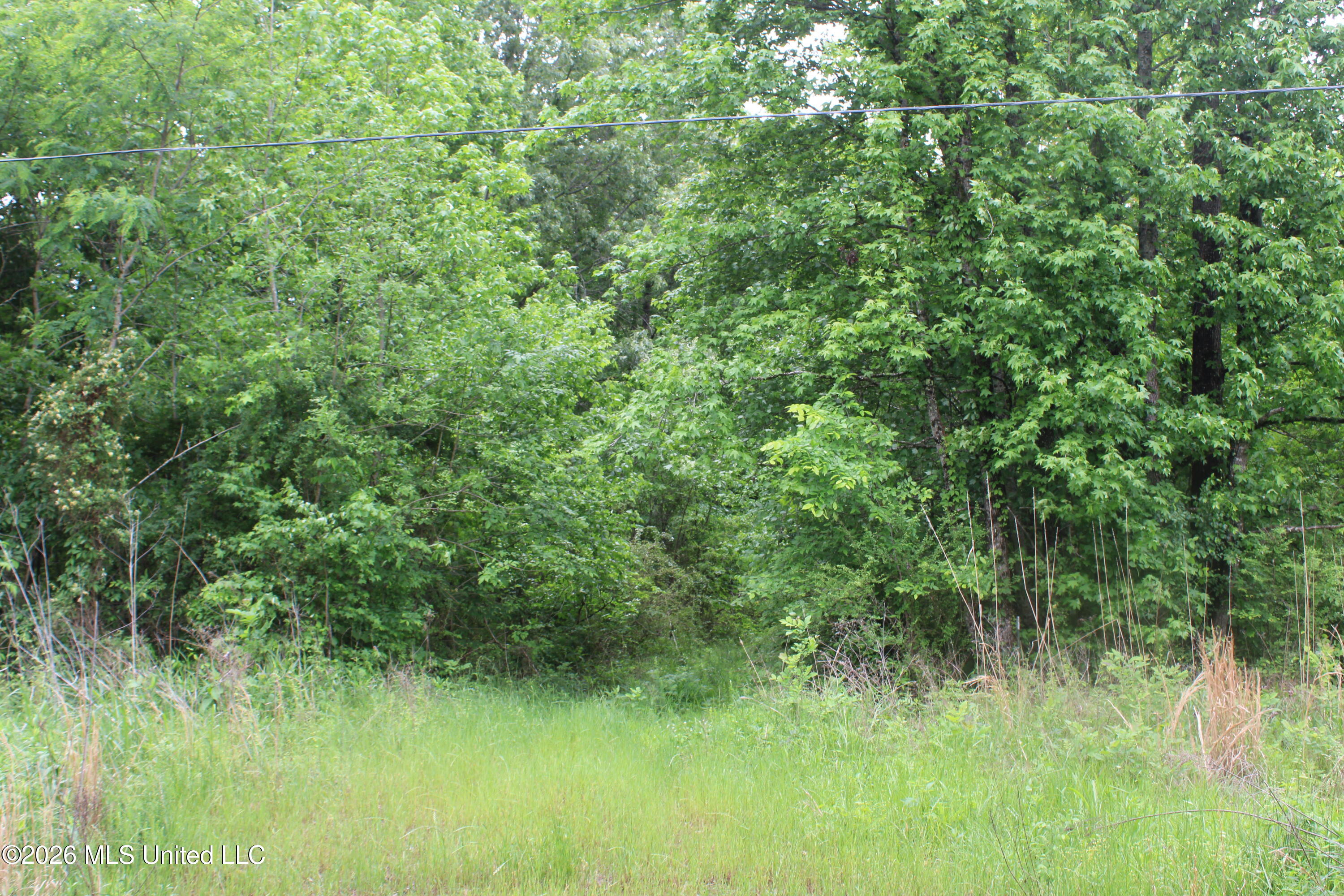806 Woods Road Byhalia, MS 38611 - Photo 18 of 20 IMG_7753