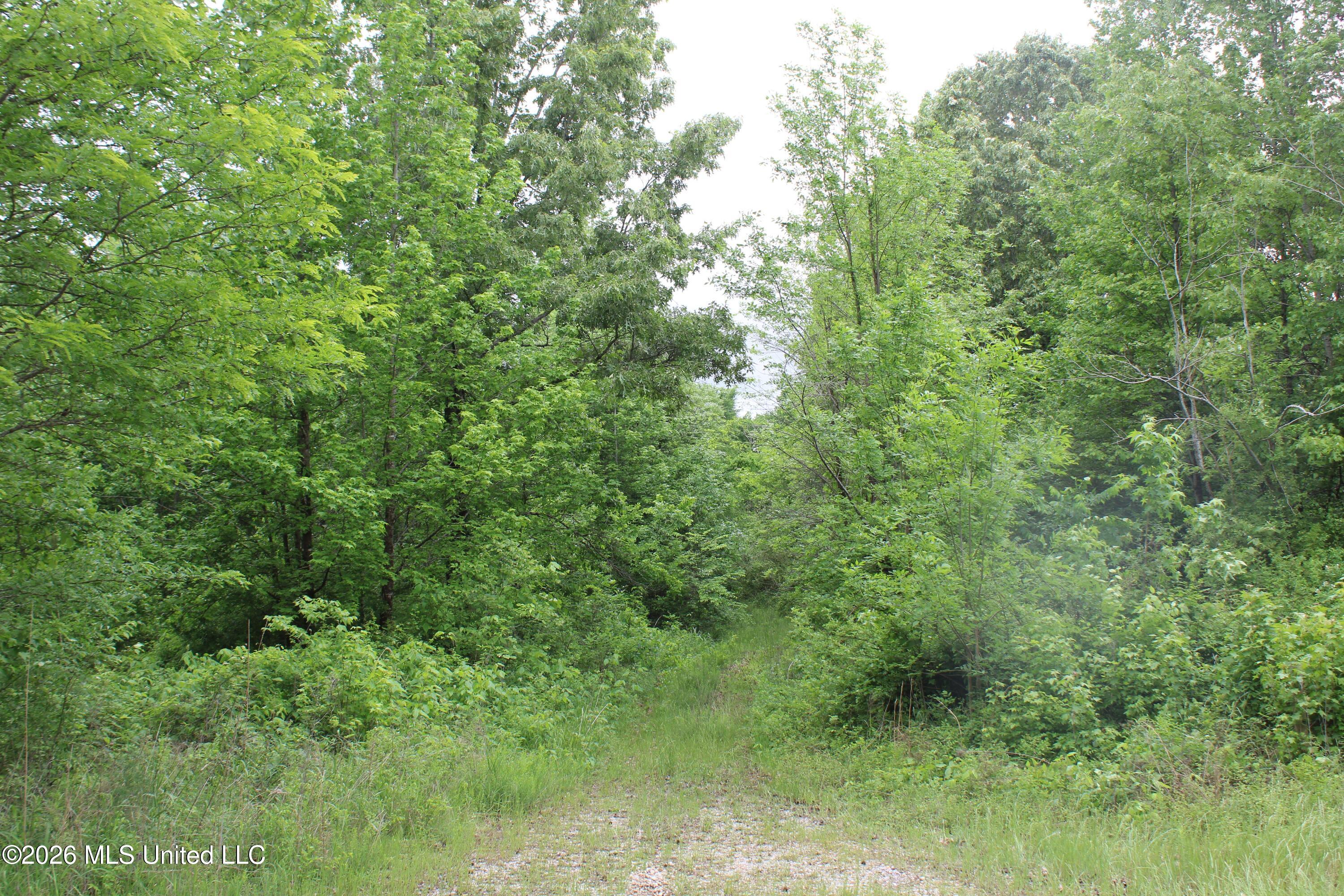 806 Woods Road Byhalia, MS 38611 - Photo 19 of 20 IMG_7736
