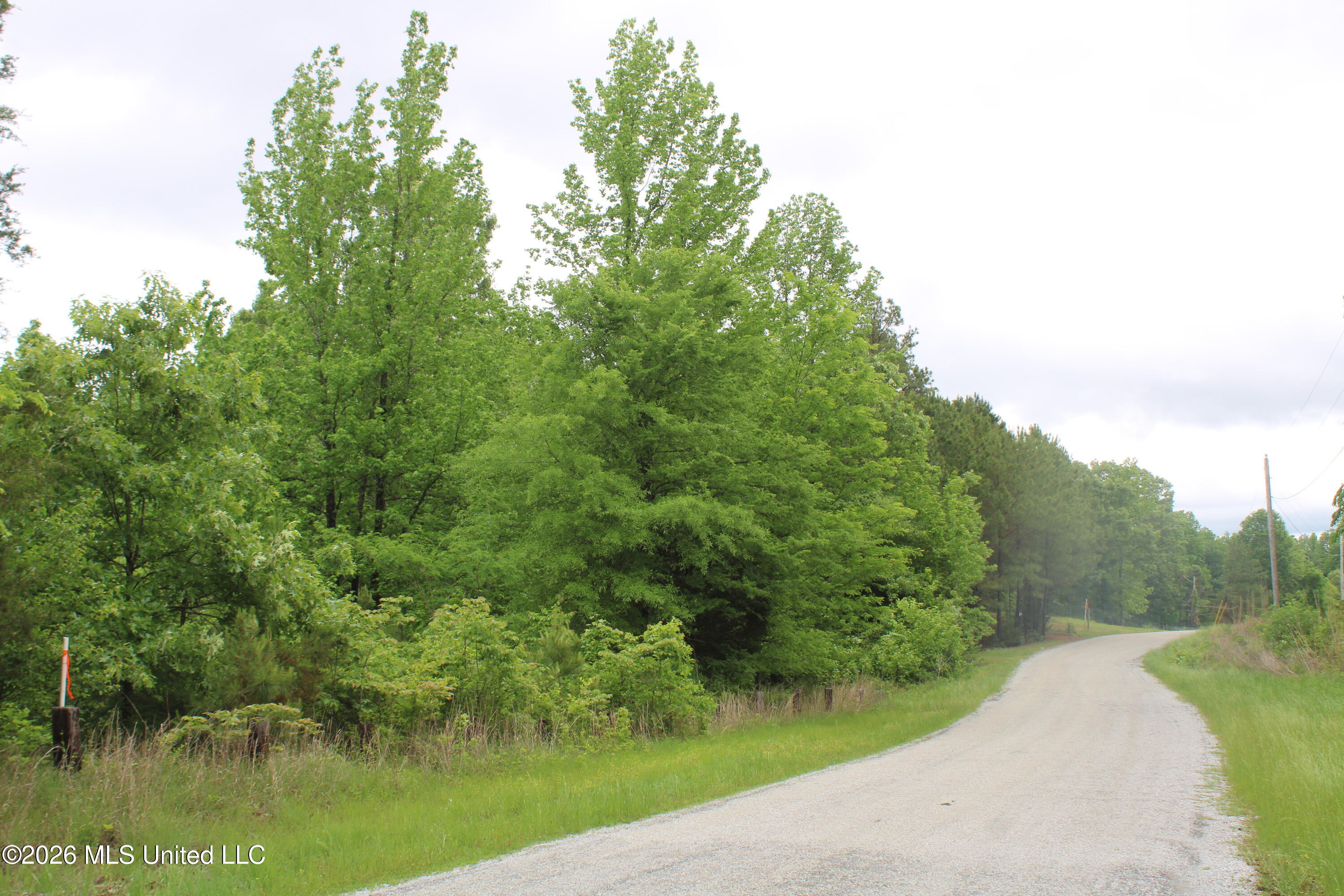 806 Woods Road Byhalia, MS 38611 - Photo 2 of 20 IMG_7735