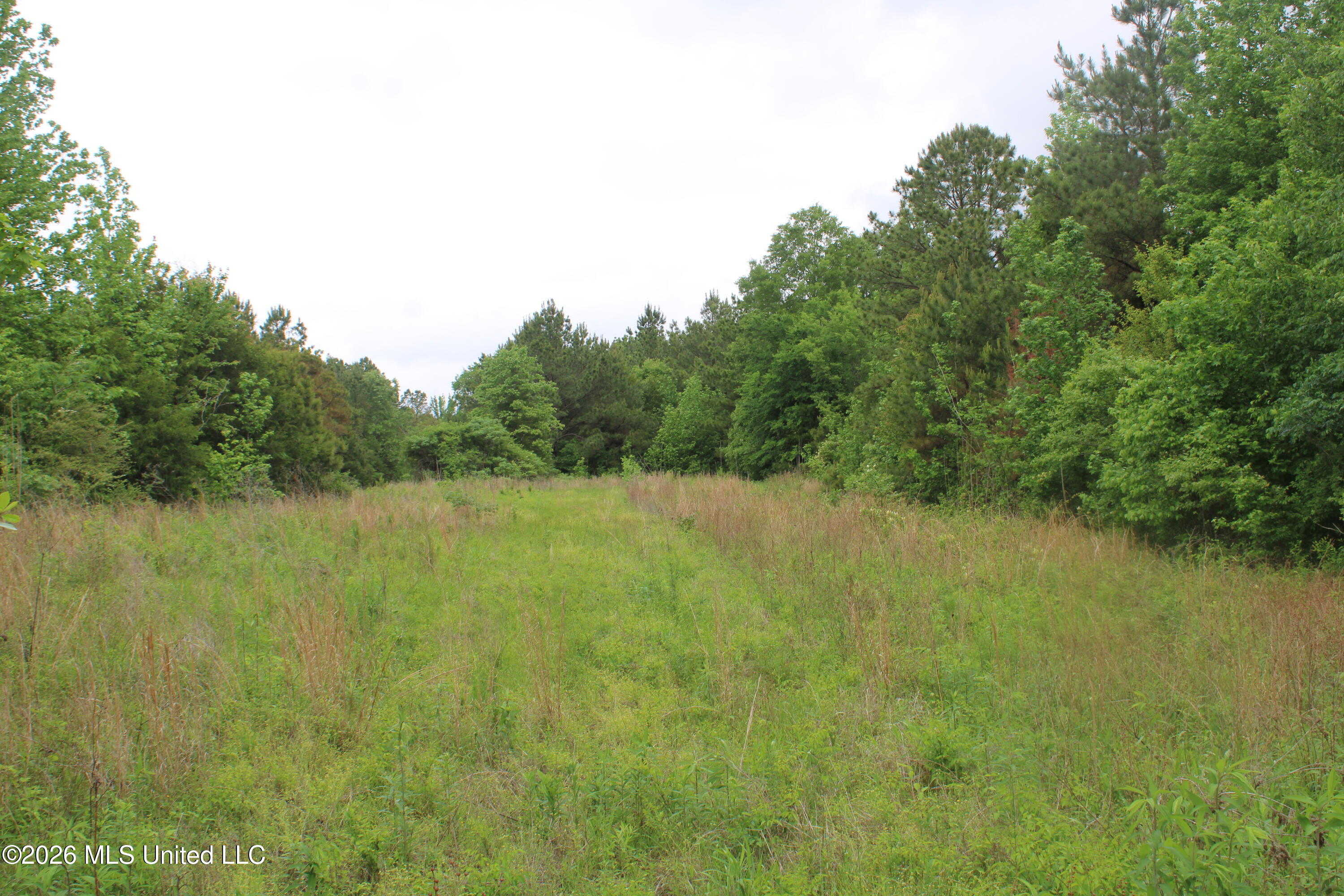 806 Woods Road Byhalia, MS 38611 - Photo 4 of 20 IMG_7748