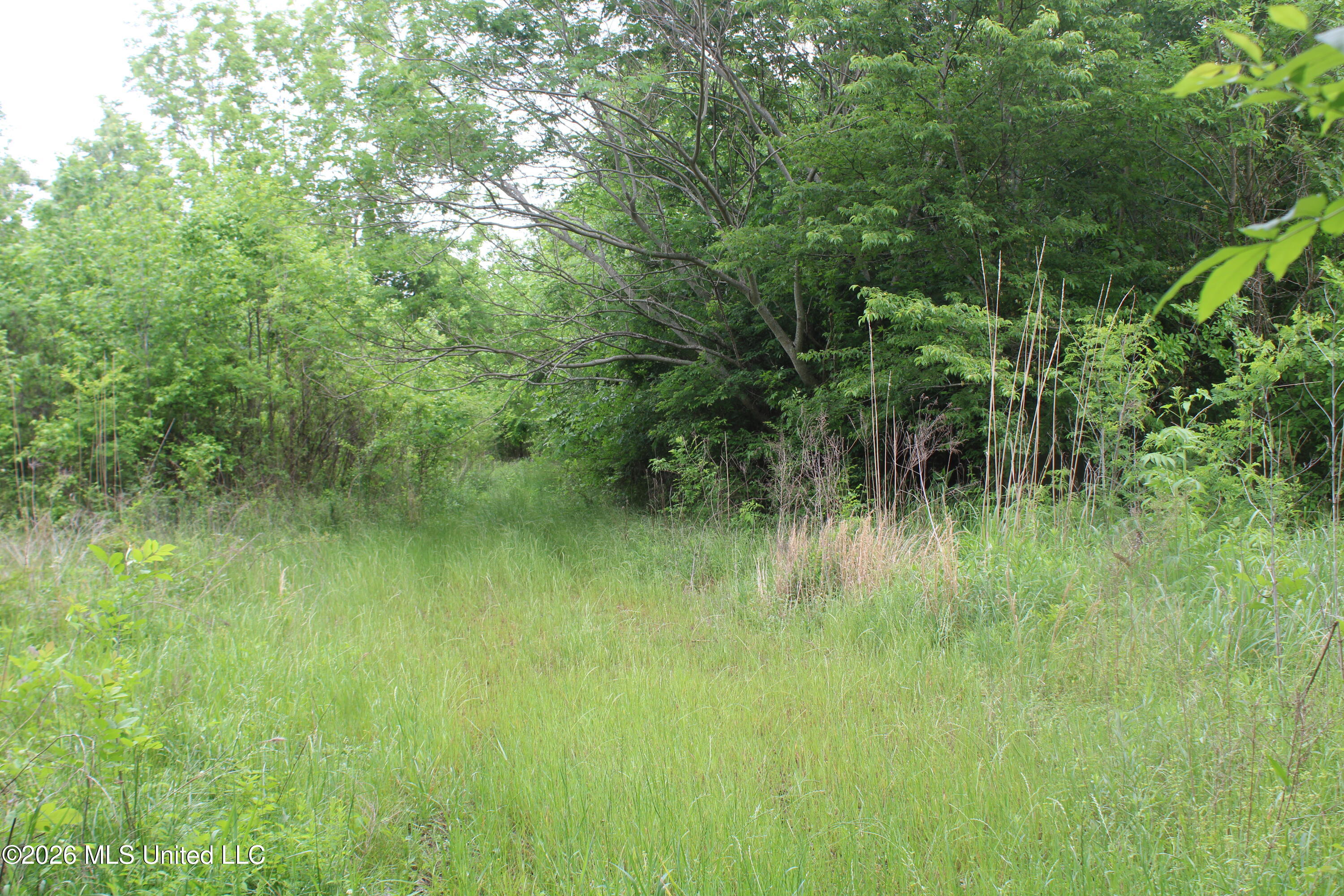 806 Woods Road Byhalia, MS 38611 - Photo 10 of 20 IMG_7742