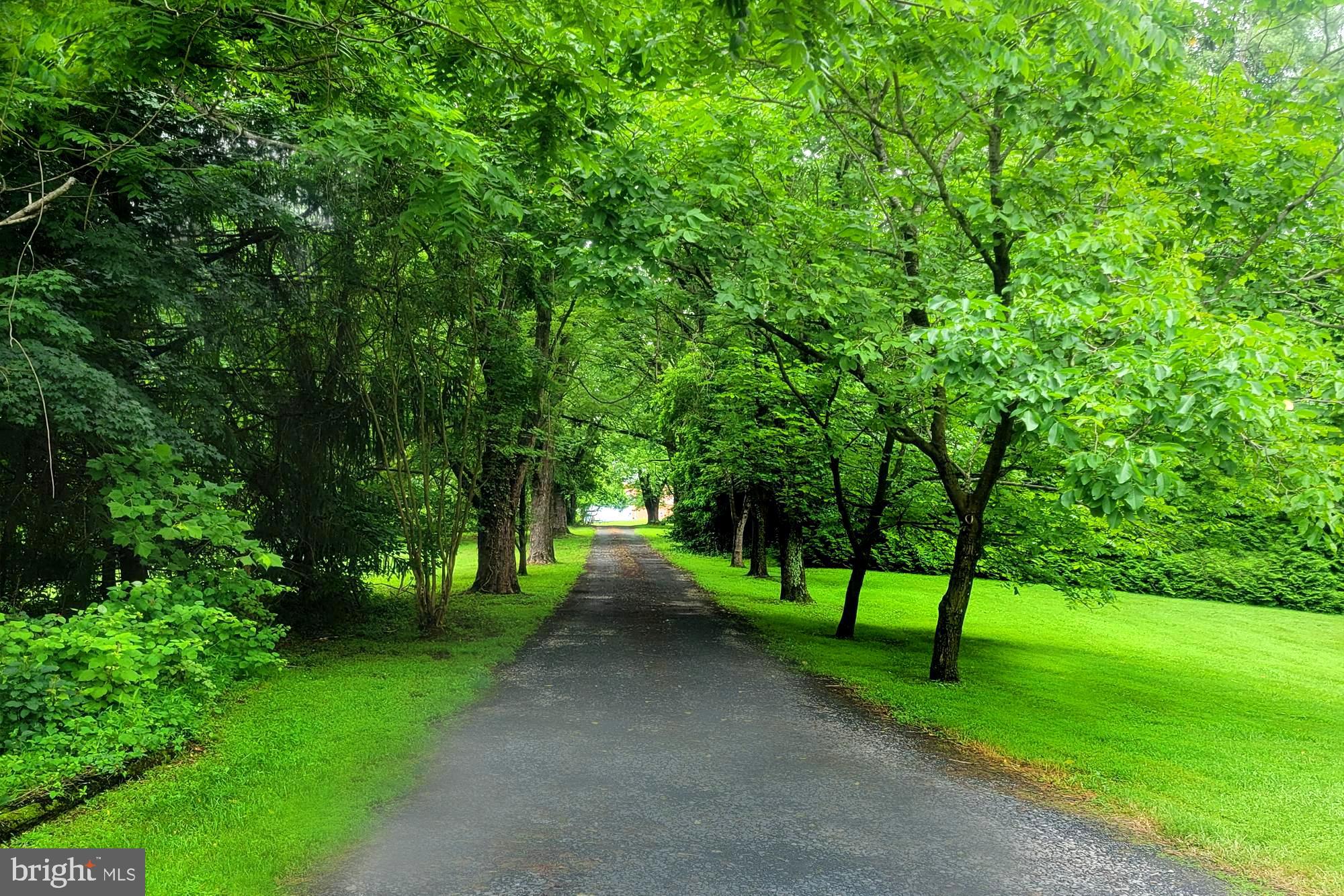 4441 Solomons Island Road Harwood, MD 20776 - Photo 12 of 87 a view of park with trees
