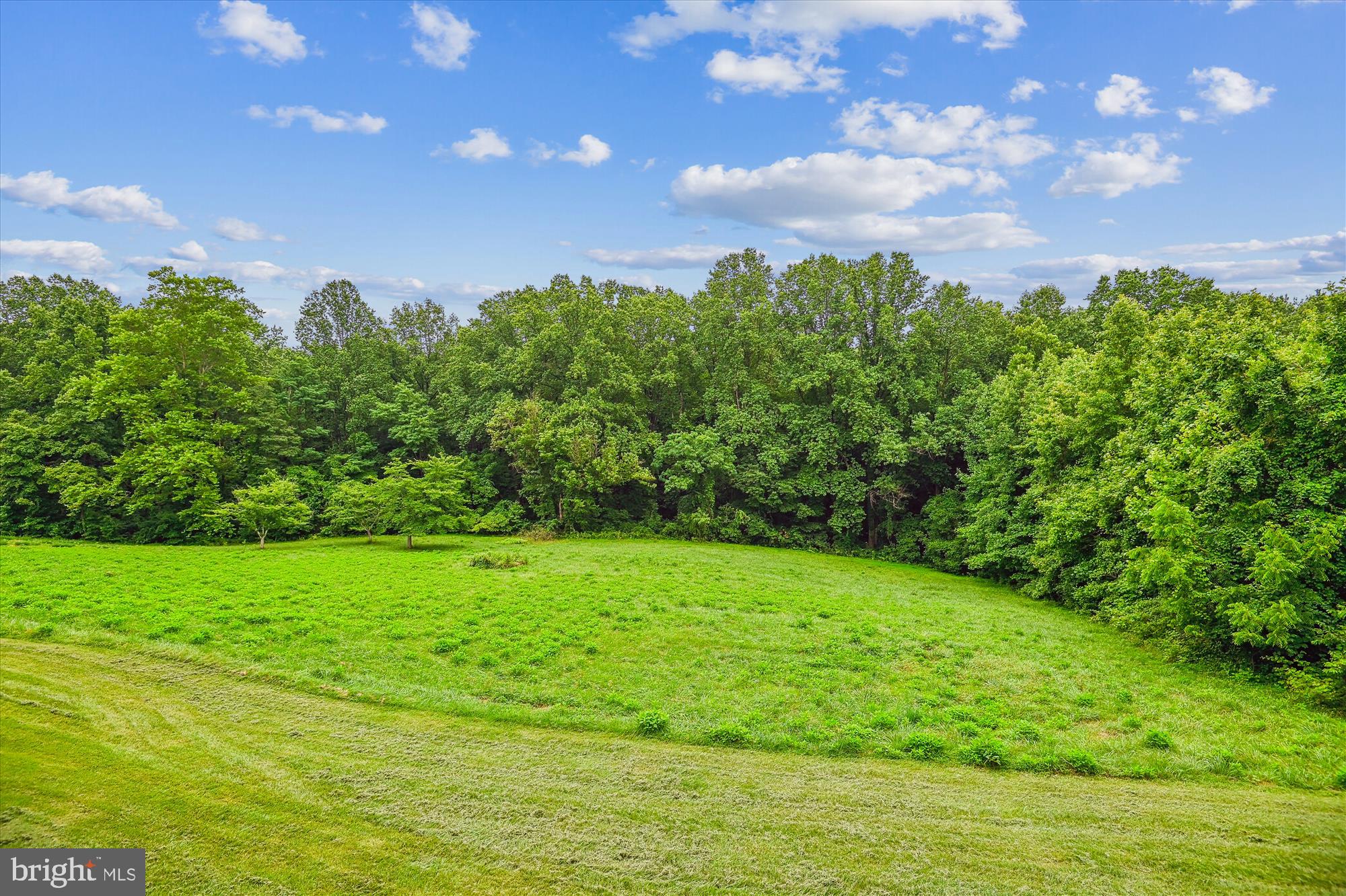 4441 Solomons Island Road Harwood, MD 20776 - Photo 60 of 87 a view of a field with plants and trees in the background