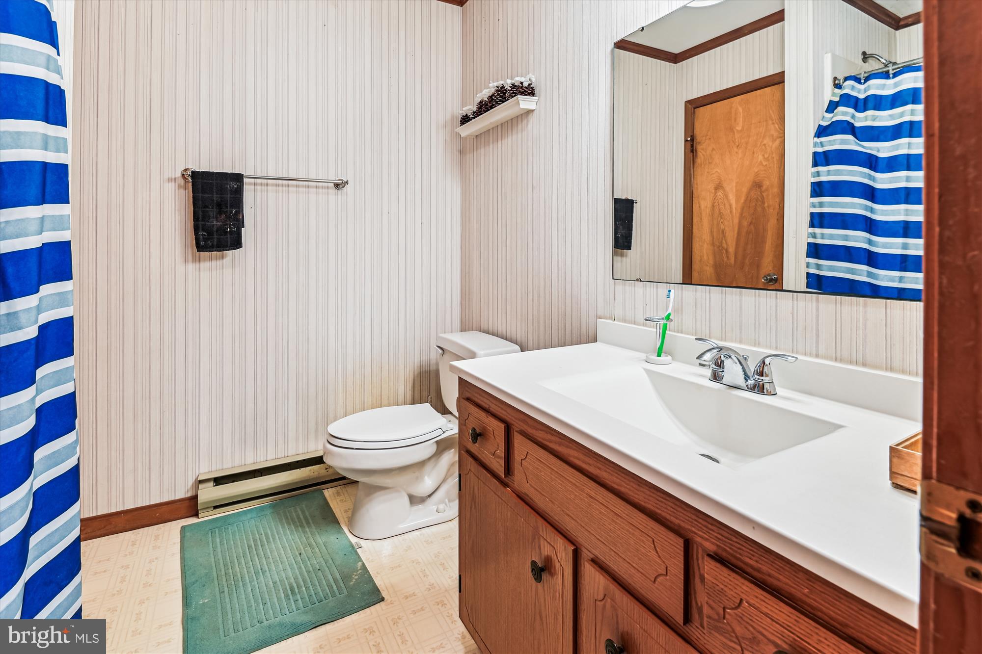 4441 Solomons Island Road Harwood, MD 20776 - Photo 74 of 87 a bathroom with a sink a toilet and shower curtain