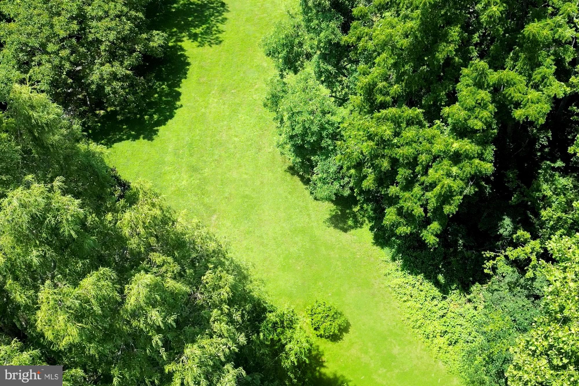 4441 Solomons Island Road Harwood, MD 20776 - Photo 79 of 87 Expansive Private Acreage for Hikes & Camping!