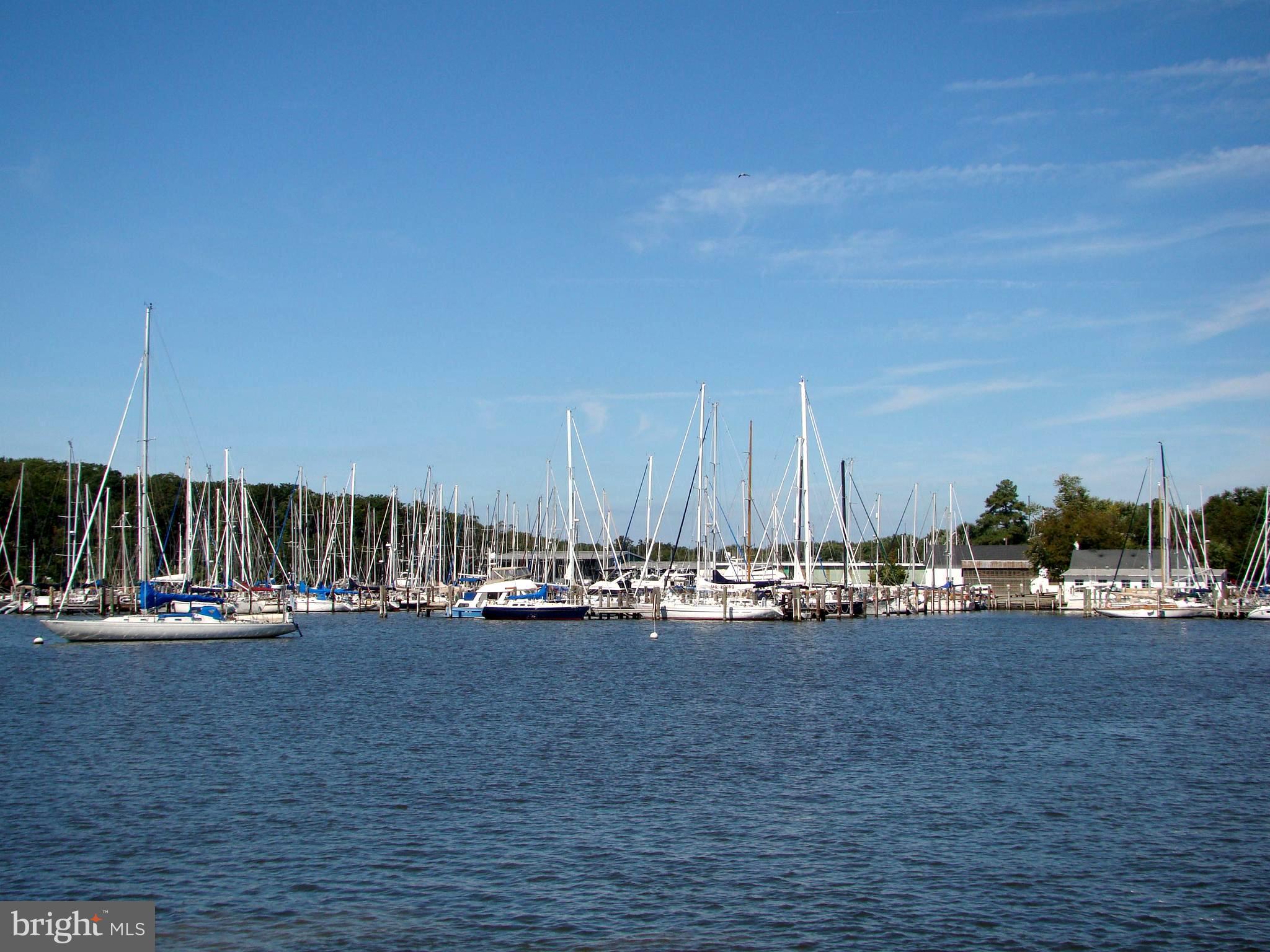 4441 Solomons Island Road Harwood, MD 20776 - Photo 80 of 87 a view of a lake with boats and trees in the background