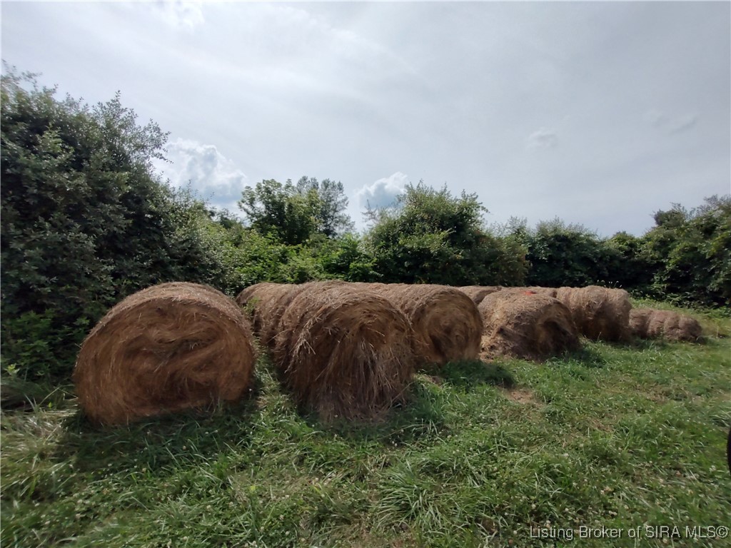 9160 East Tate Ridge Road Madison, IN 47250 - Photo 11 of 18