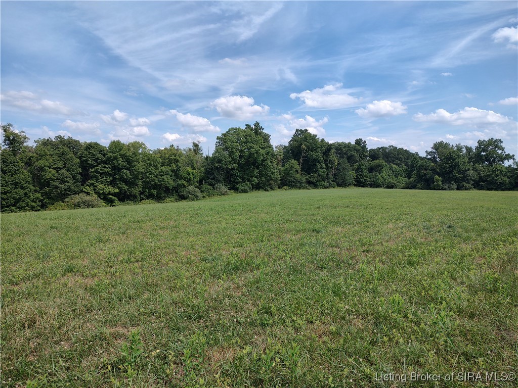 9160 East Tate Ridge Road Madison, IN 47250 - Photo 3 of 18