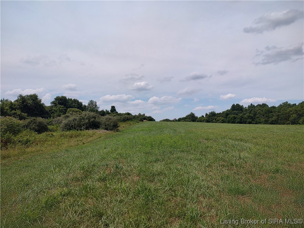 9160 East Tate Ridge Road Madison, IN 47250 - Photo 4 of 18