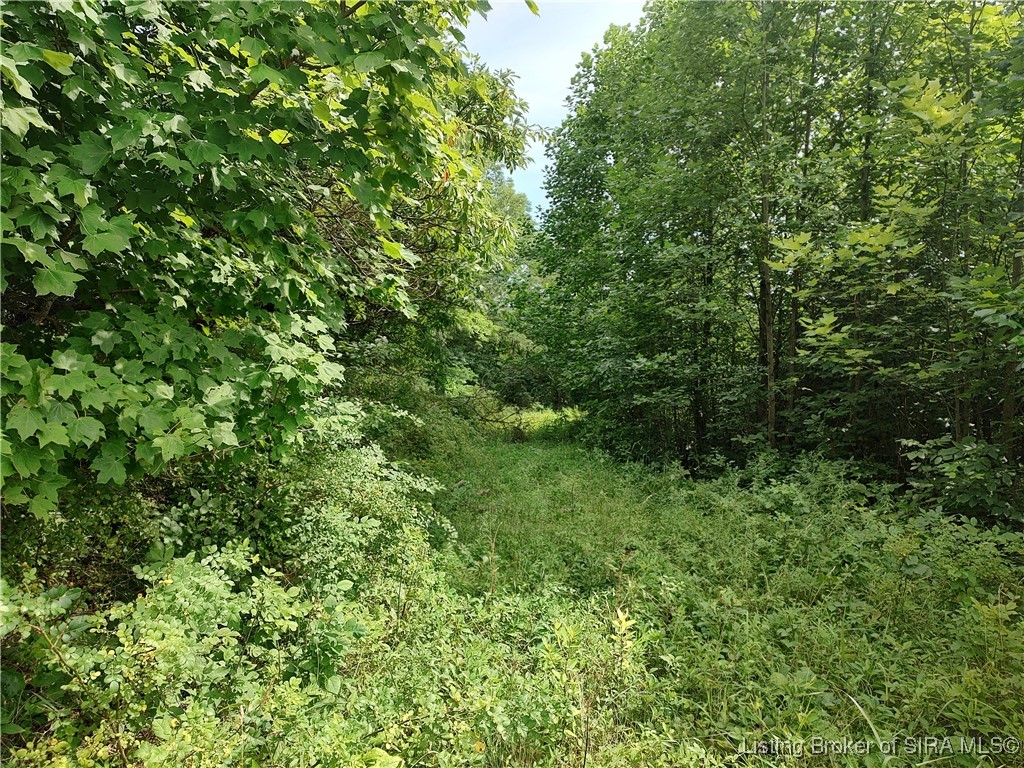 9160 East Tate Ridge Road Madison, IN 47250 - Photo 6 of 18