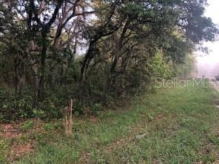 0 Southwest 125th Terrace Road Southwest Ocala, FL 34481 - Photo 1 of 1