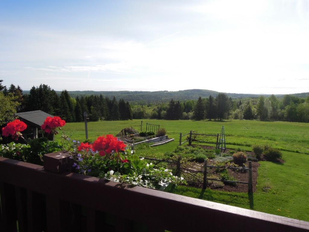463 New Sweden Road New Sweden, ME 04762 - Photo 33 of 33 Imagine this as your backyard!