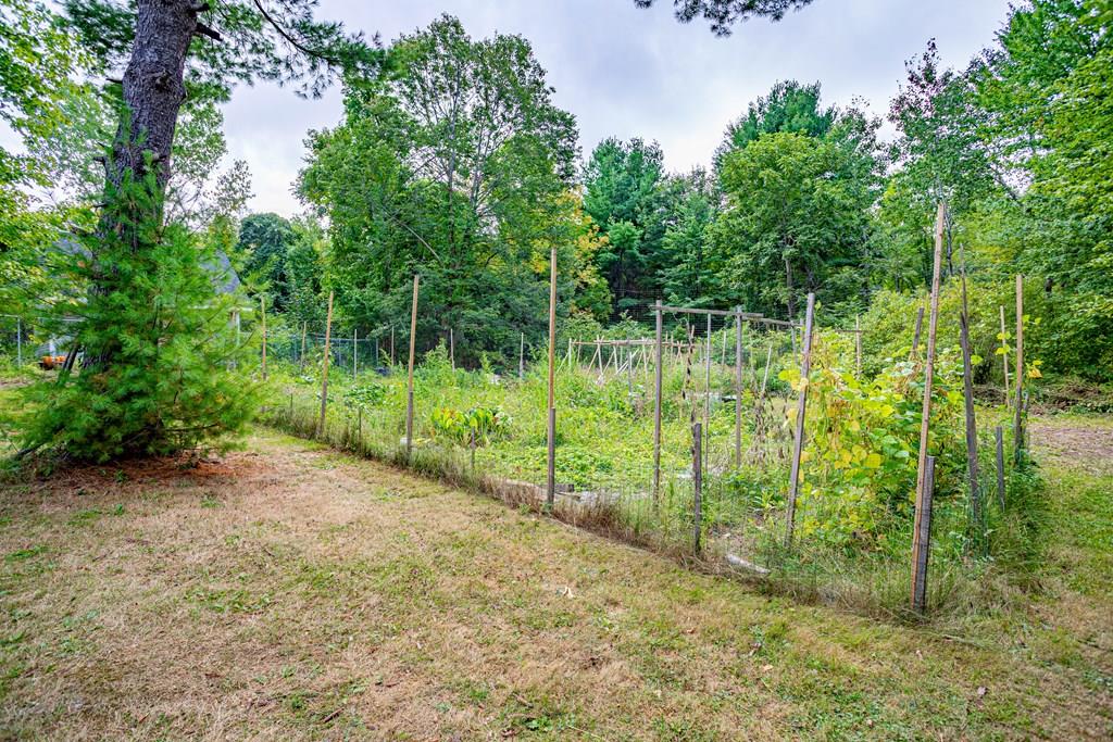 202 Whalom Road Lunenburg, MA 01462 - Photo 33 of 42 a view of a park with a tree