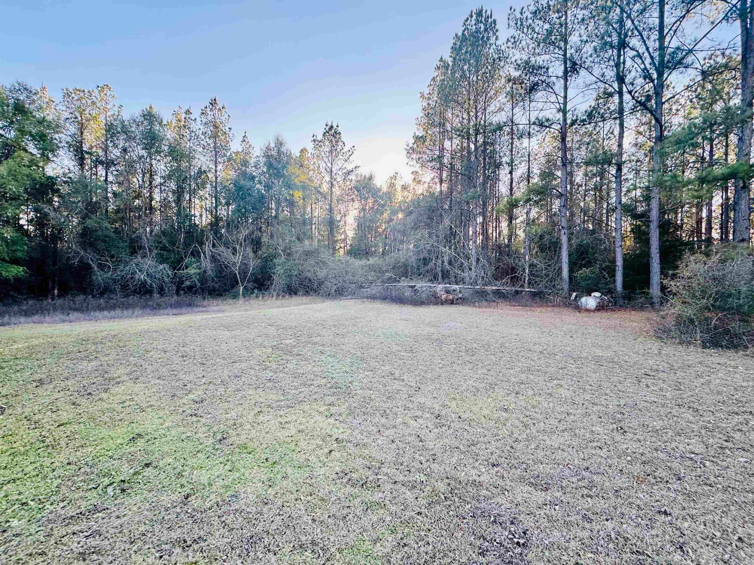 28813 Morgan Road Red Level, AL 36474 - Photo 7 of 25 Gallery Image 7