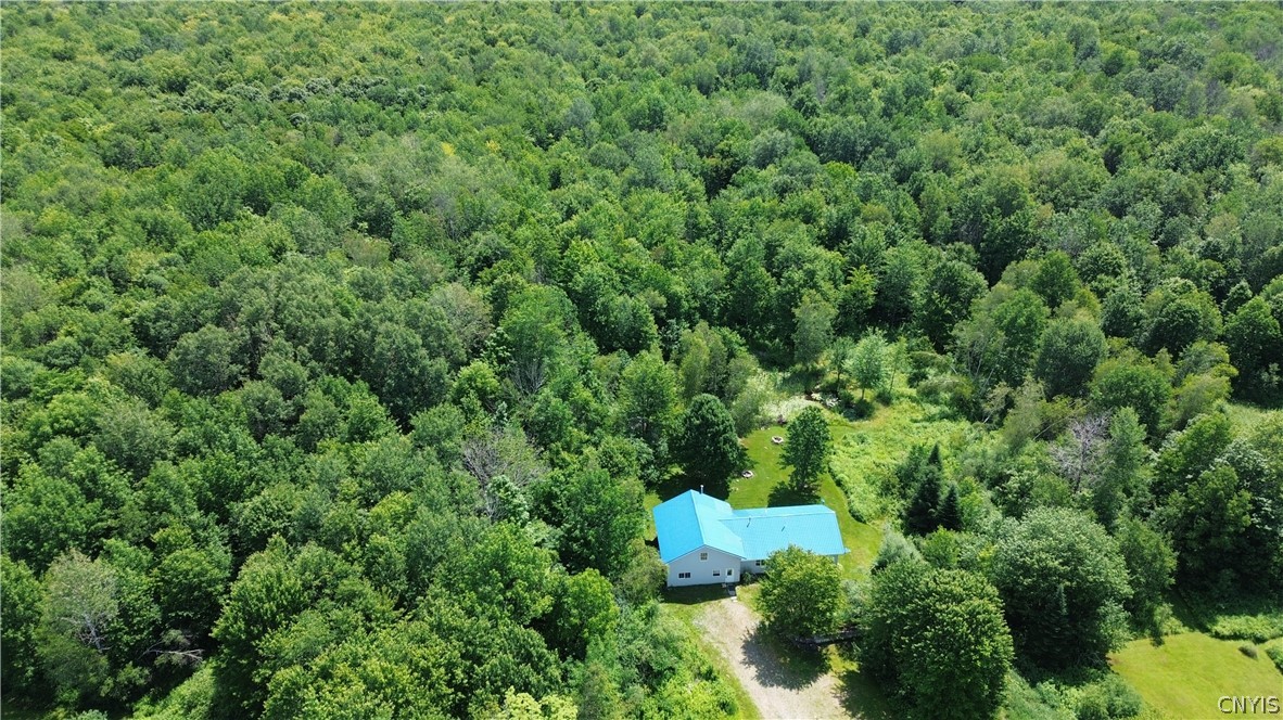 10066 Point Rock Road Taberg, NY 13471 - Photo 7 of 46