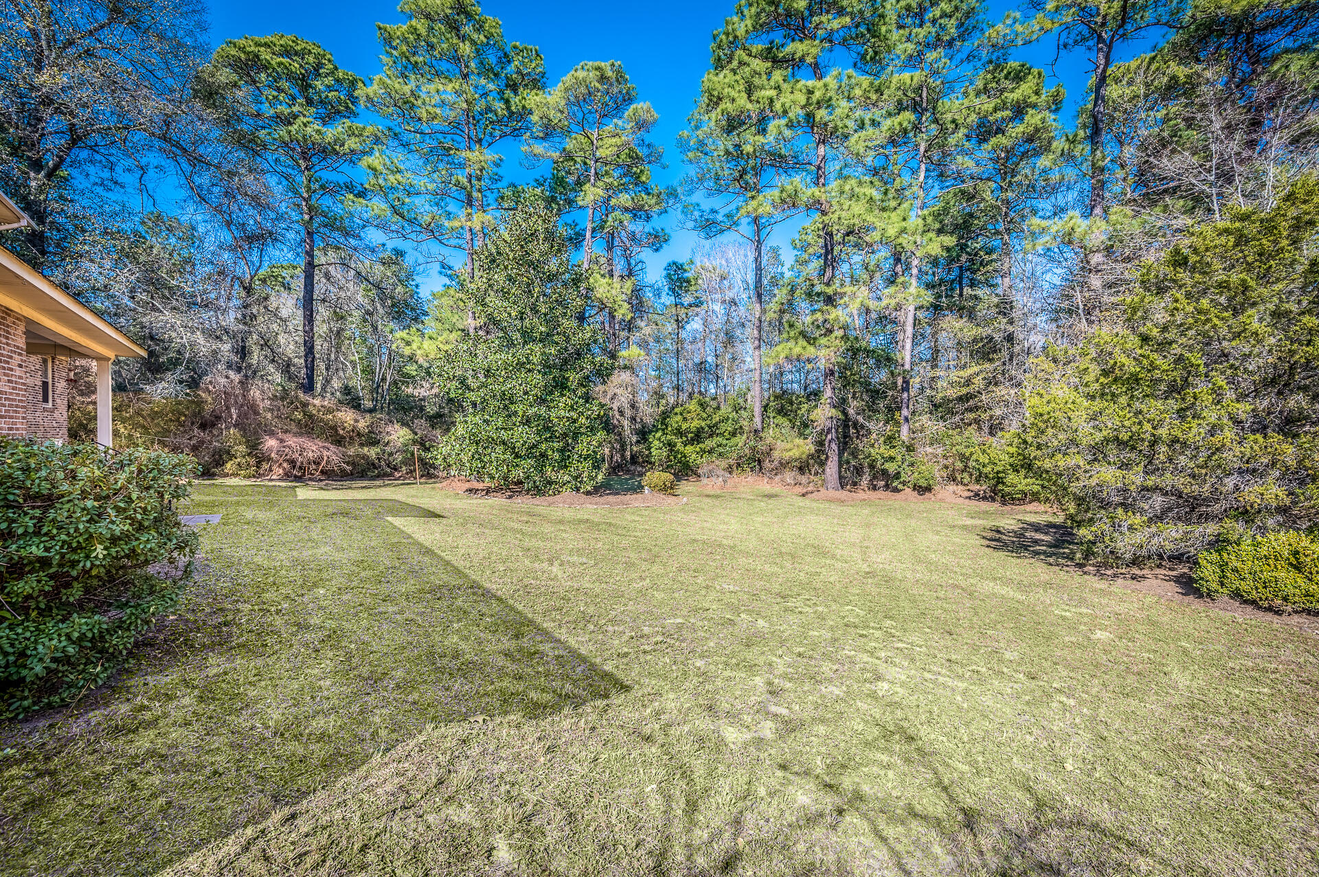 18 Waverly Road Walterboro, SC 29488 - Photo 5 of 30 18Waverly-30