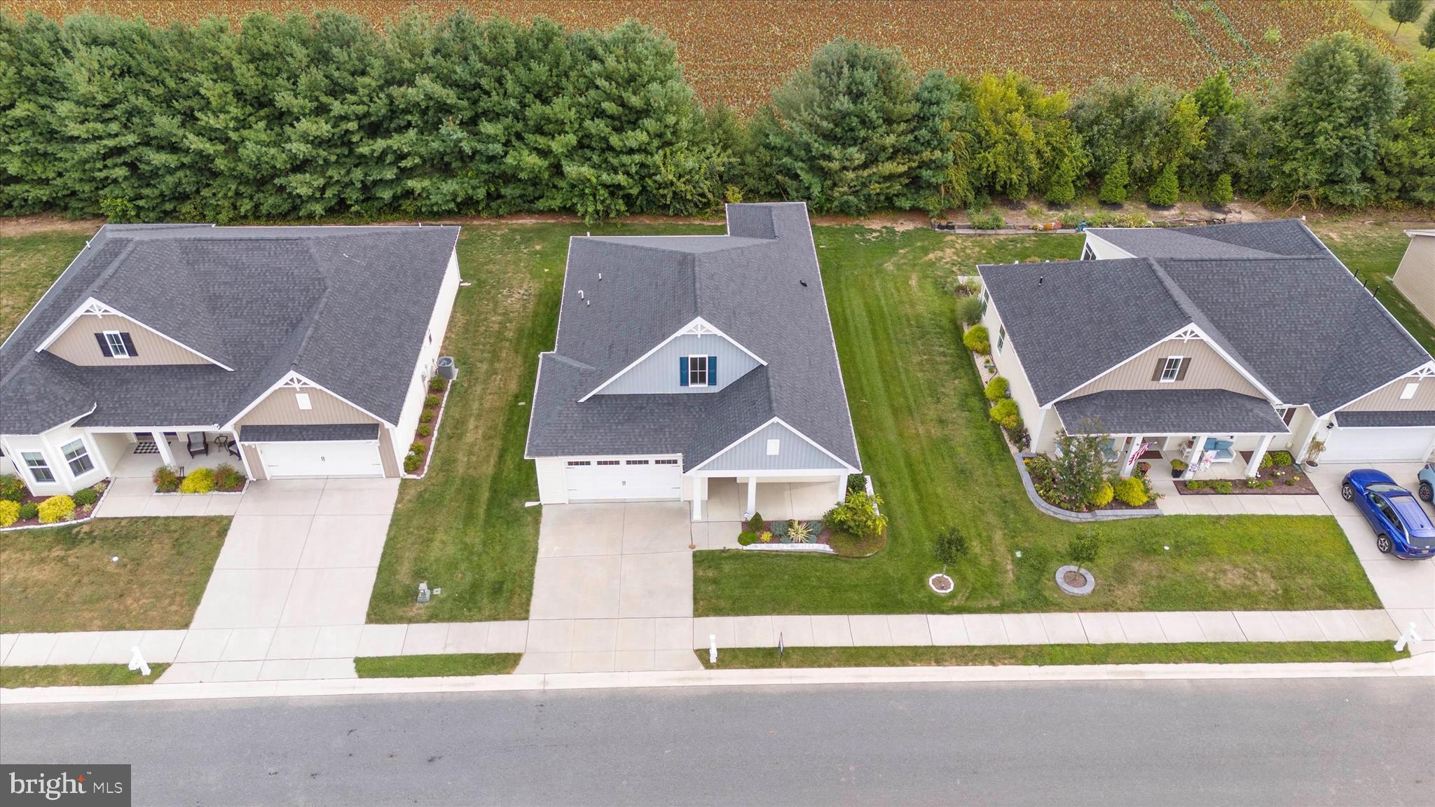 102 Rittenhouse Drive Dover, DE 19904 - Photo 2 of 41 Tree-lined lot