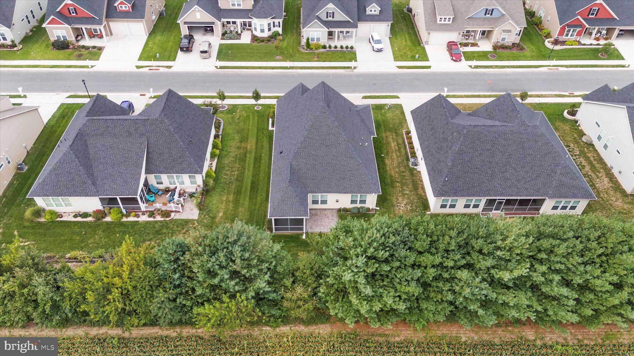102 Rittenhouse Drive Dover, DE 19904 - Photo 5 of 41 Back of House