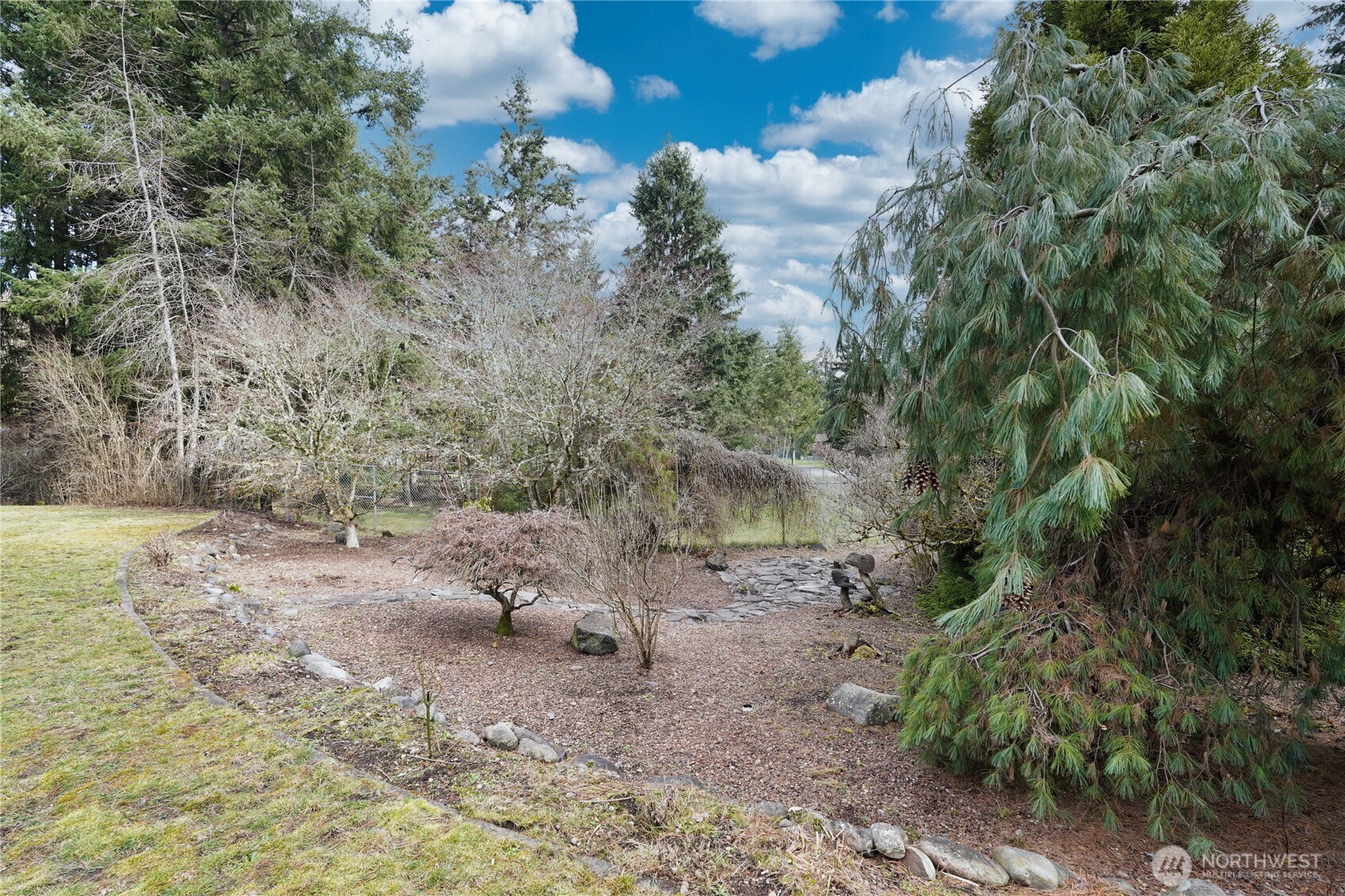 6511 255th St Court East Graham, WA 98338 - Photo 20 of 20 a view of a dry yard with trees