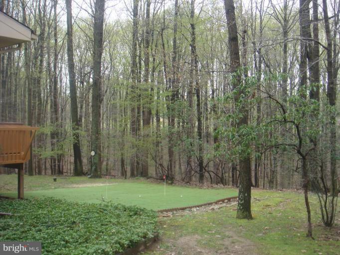 14316 Dairydale Road Baldwin, MD 21013 - Photo 12 of 20 Wooded View / Acreage