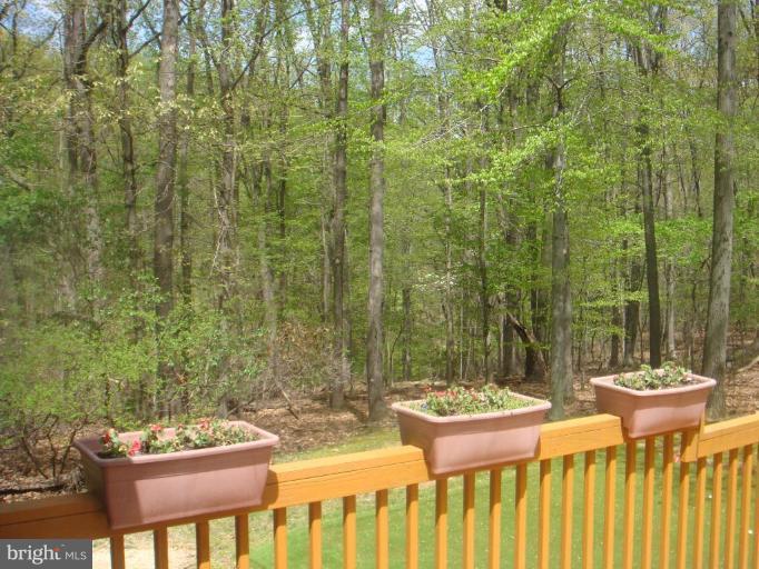 14316 Dairydale Road Baldwin, MD 21013 - Photo 9 of 20 Deck - View from