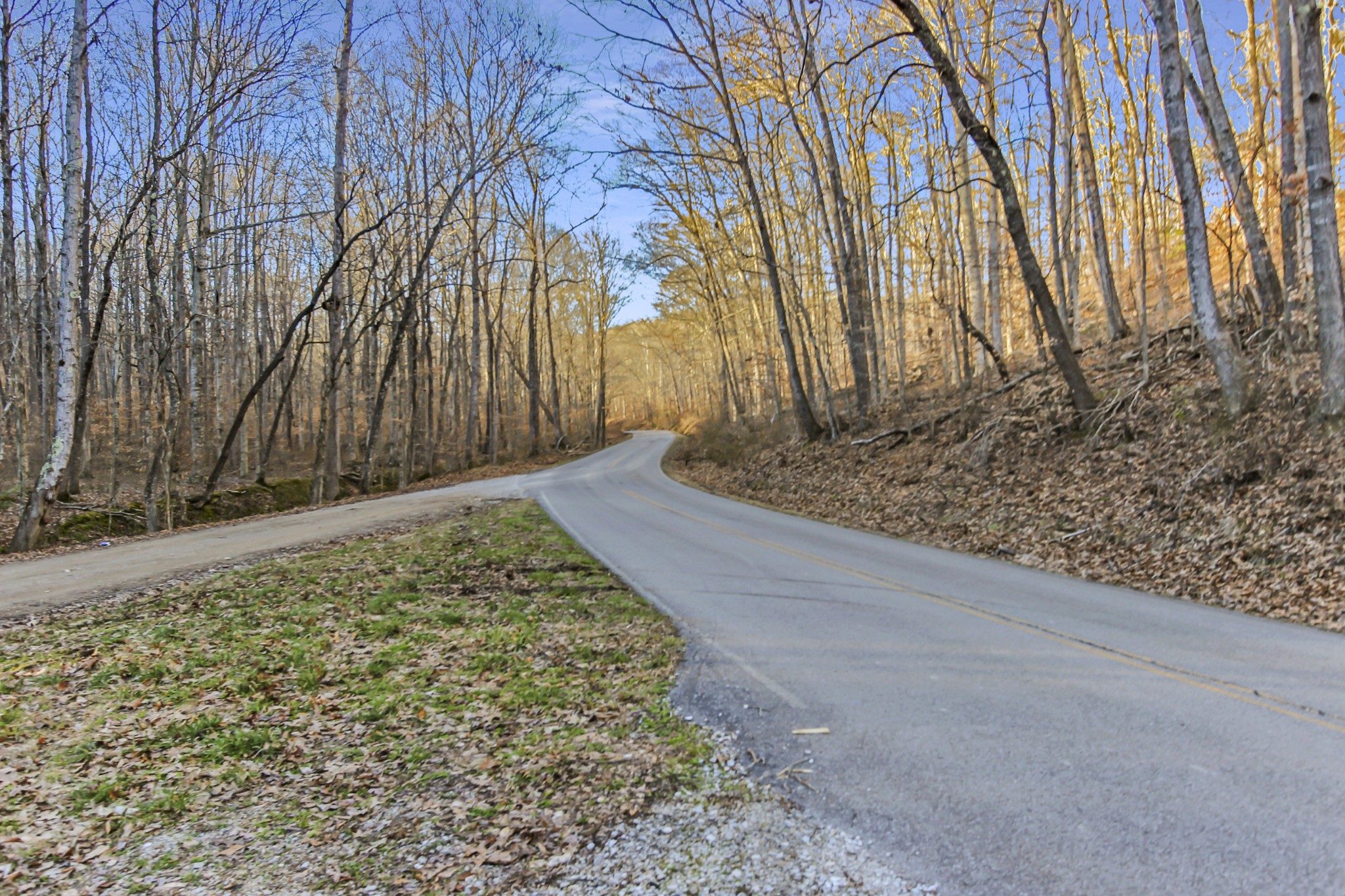 3 Whiteoak Road Stewart, TN 37175 - Photo 3 of 7 Gallery Image 3