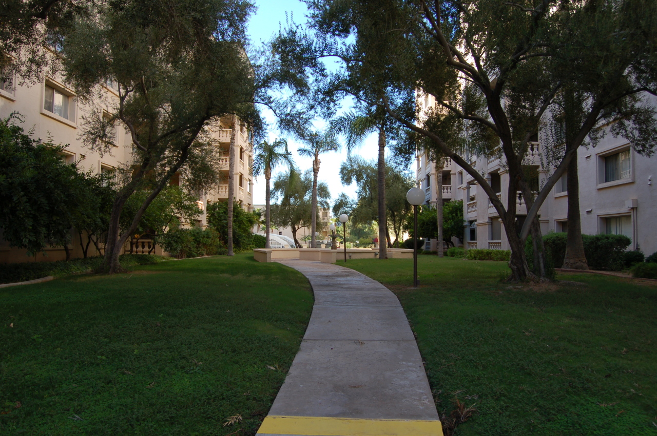 7950 East Camelback Road, Unit 107 Scottsdale, AZ 85251 - Photo 15 of 18 Courtyard
