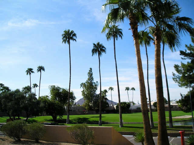 7950 East Camelback Road, Unit 107 Scottsdale, AZ 85251 - Photo 6 of 18 Golf Course