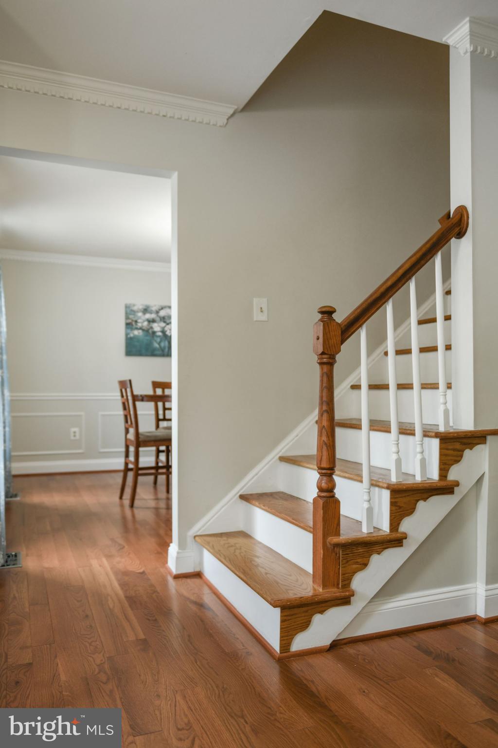 15604 Evesham Place Silver Spring, MD 20905 - Photo 5 of 62 Gallery Image 5