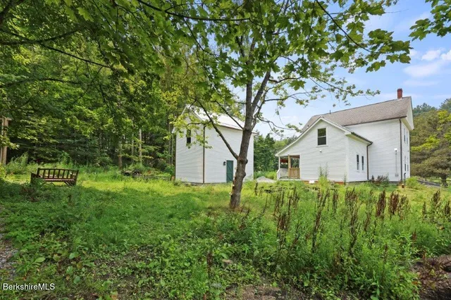 a view of a garden with plants