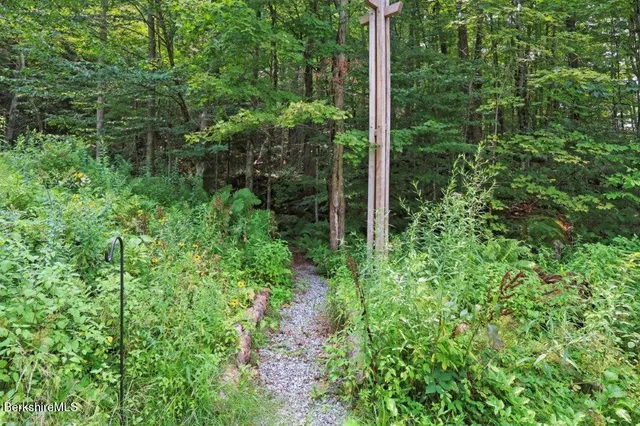 a view of a house with a yard and plants