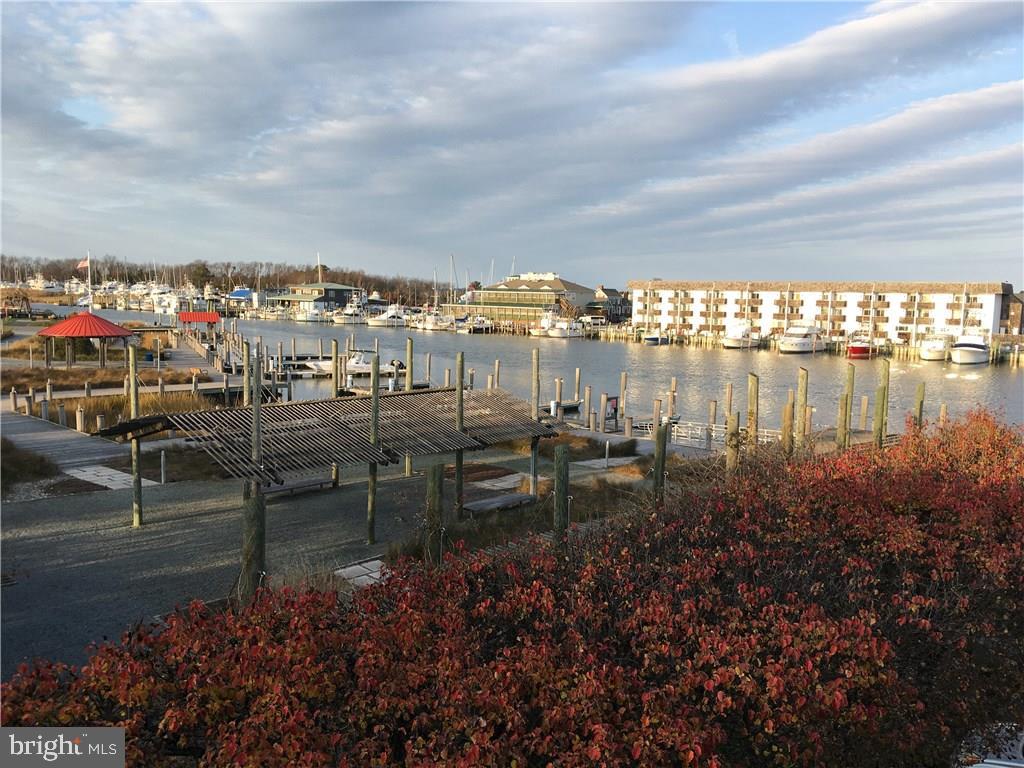 211 Anglers Road, Unit 301A Lewes, DE 19958 - Photo 3 of 10 Gallery Image 3