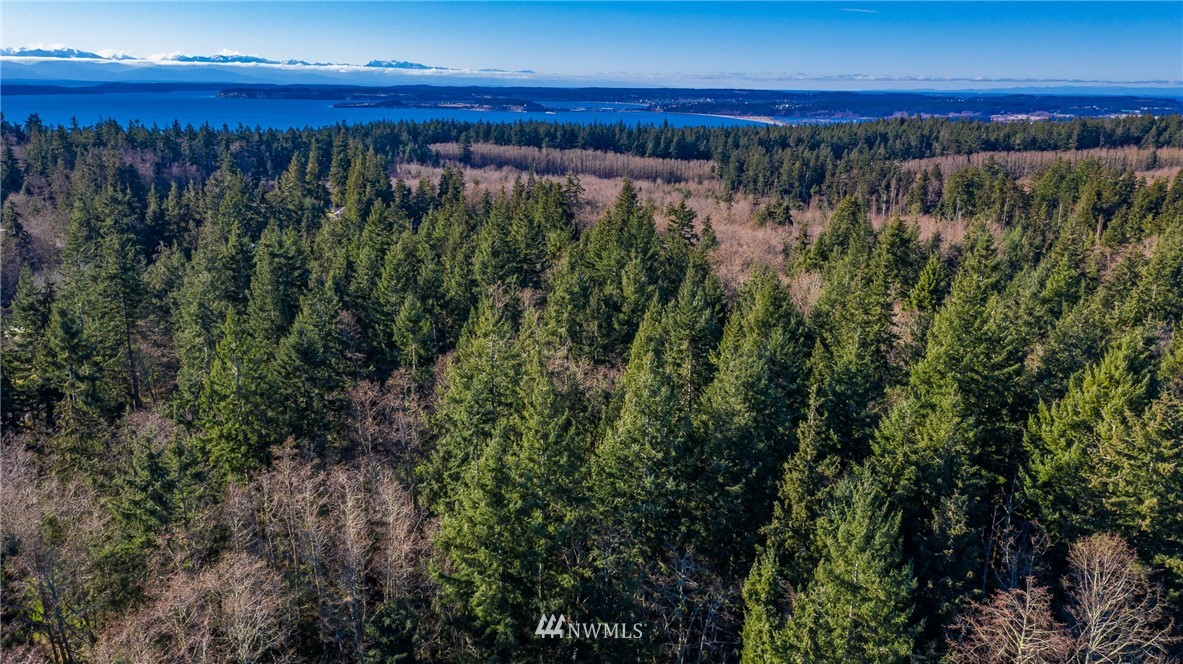 -nhn Eagle Ridge Road Oak Harbor, WA 98277 - Photo 11 of 12 Gallery Image 11