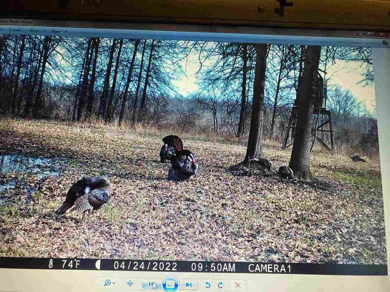 0 Burt Road Brant, MI 48614 - Photo 8 of 13