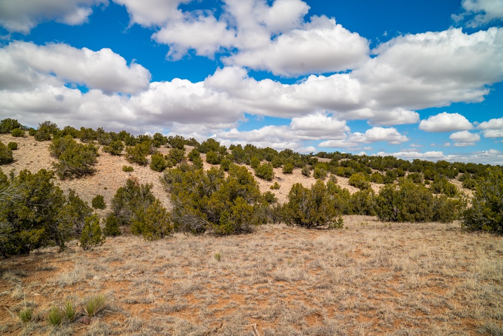 Tbd Hanuman Road Cerrillos, NM 87010 - Photo 7 of 33