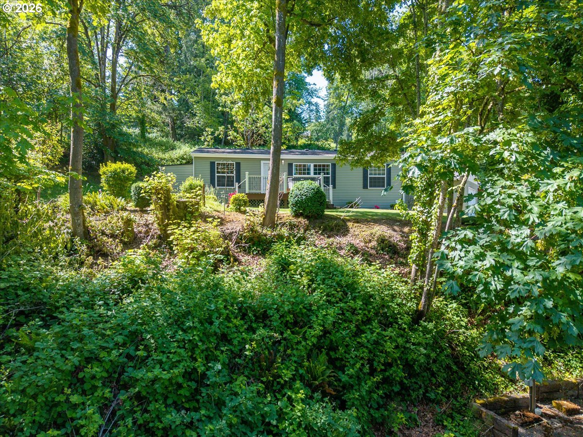 475 East 9th Street Rainier, OR 97048 - Photo 33 of 43 a view of a garden with plants and large trees