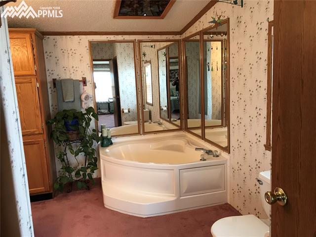 14820 Trigger Road Peyton, CO 80831 - Photo 16 of 36 Master Bath Soaking Tub