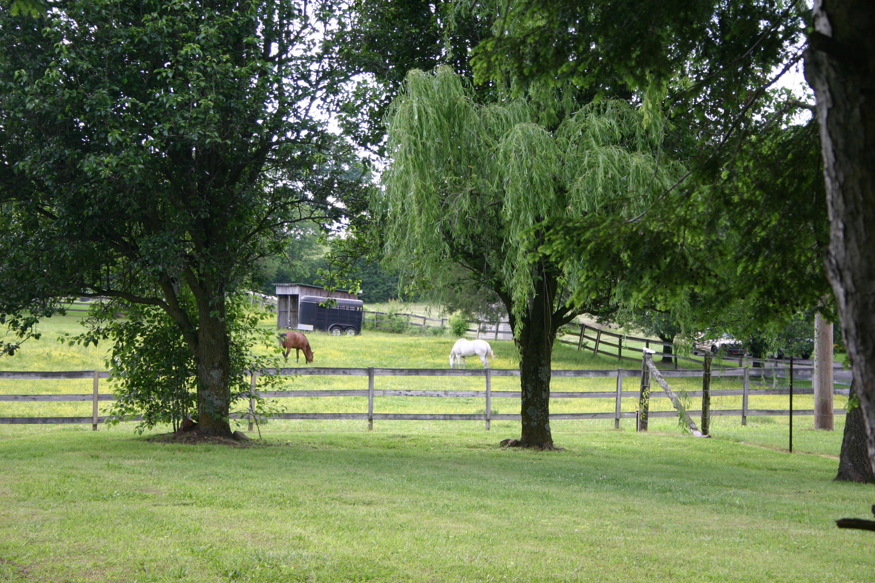 763 Horton Road Southeast Cleveland, TN 37323 - Photo 25 of 25 IMG_7982