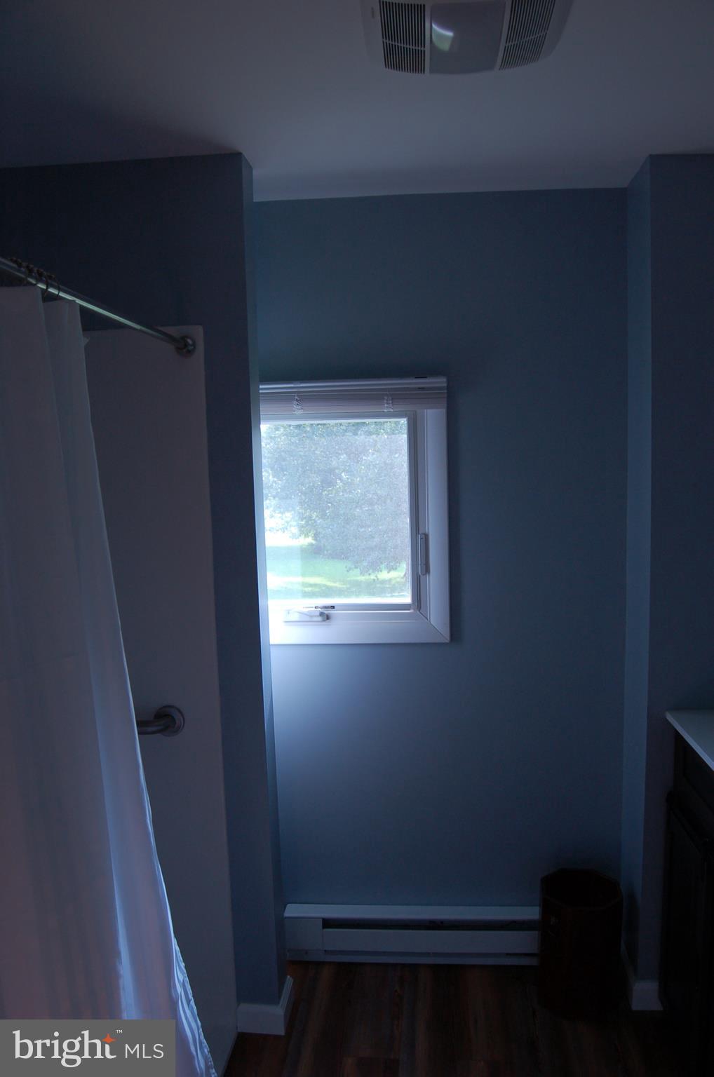 3 Bullfrog Road Grantville, PA 17028 - Photo 10 of 12 walk-in shower on first floor
