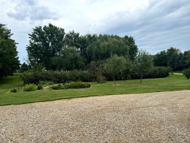 a view of a field and trees in the background