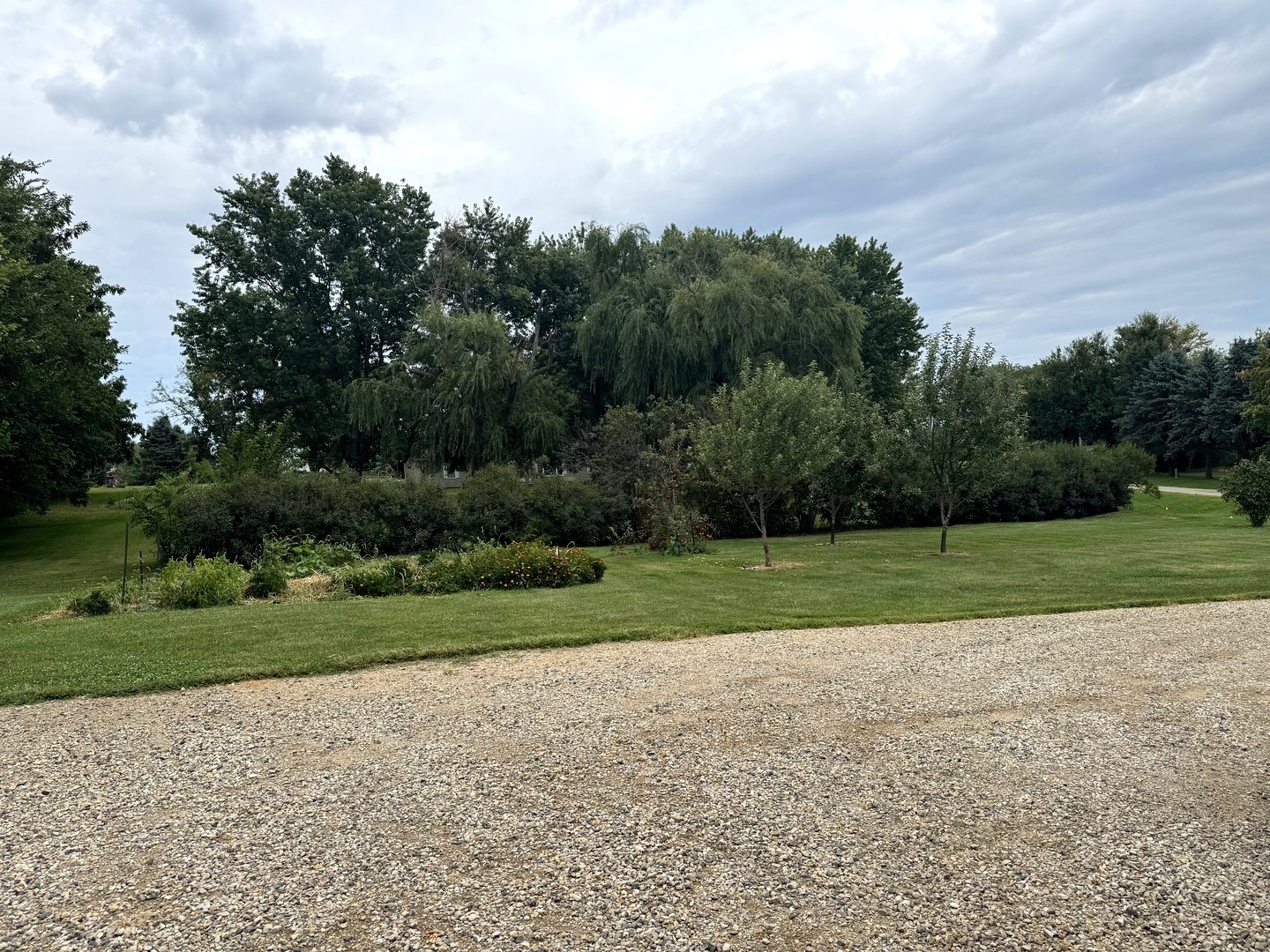 202 Front Street Malden, IL 61337 - Photo 5 of 17 a view of a field and trees in the background