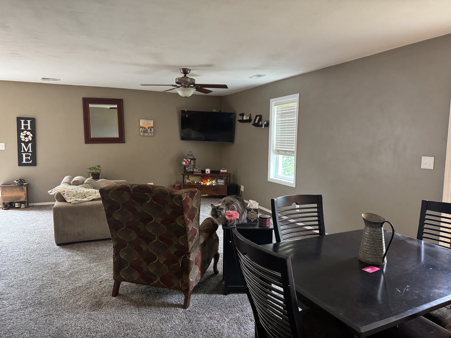 202 Front Street Malden, IL 61337 - Photo 10 of 17 a living room with furniture a chandelier and a flat screen tv