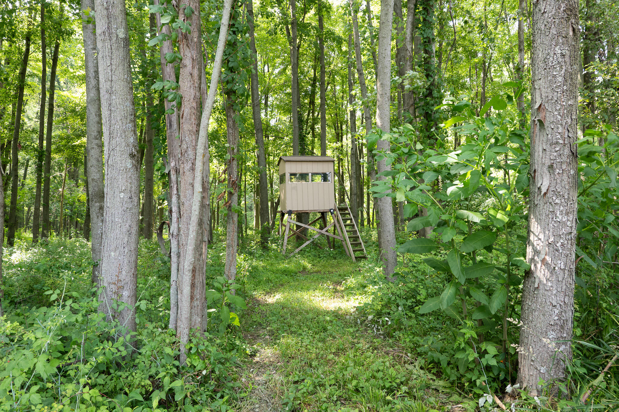 3282 Jerome Road North North Adams, MI 49262 - Photo 16 of 34 P1067850